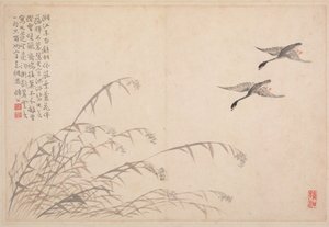 书法和绘画专辑，十八世纪。