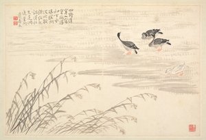 书法和绘画专辑，十八世纪。