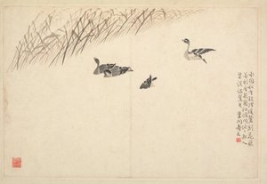 书法和绘画专辑，十八世纪。