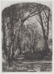 伍兹[Woods]，约1895年。