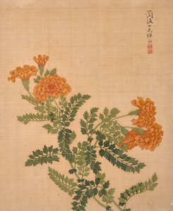  作者 