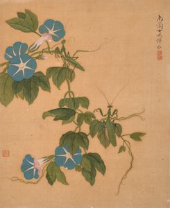  作者 