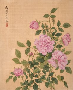 作者 