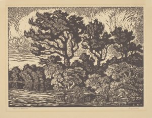 柳树和木棉，约 1931 年（油印版画） 作者 比尔格·桑德森