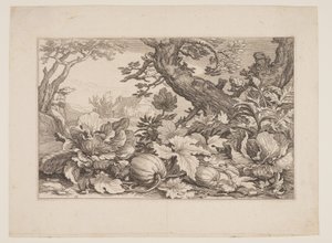 图 13，选自《有农舍的风景画 作者 Boetius Adams Bolswert