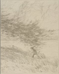 松树枝桠 作者 博尔顿布朗