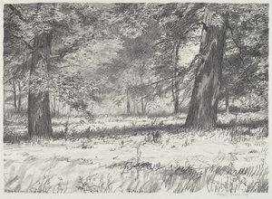 两棵枫树 作者 博尔顿布朗