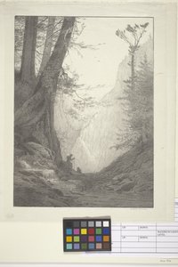 大雪松（纸墨，石版画）