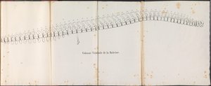 鲸鱼的脊背，1827 年
Colonne Vertébrale de la Baleine（物上标题）
