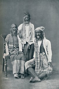 缅甸曼德勒一个毛茸茸的家庭，1902年