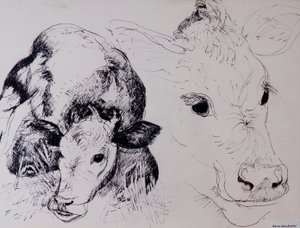 Calves，Gt Garnetts II 作者 布伦达·布林·布克