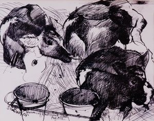 犊牛，潮湿，新生儿，1978 作者 布伦达·布林·布克