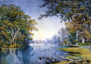 林间小河（水彩画） 作者 英国学校