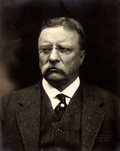 西奥多-罗斯福，约1915年（黑白照片）。 作者 帕奇兄弟
