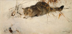 一只猫在雪地里缠着老鼠