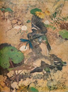 专家小组由Bruno Liljefors摄于1924年。