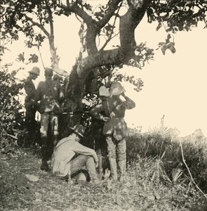 佩吉特船长看见的树...看见了...圣胡安战役，西班牙裔美国人战争，1898年6月，1899年。 作者 伯尔·麦金托什