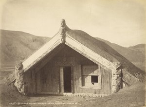 众议院 -  Wairoa  - 爆发后于1886年7月10日，886年（蛋白印刷品）