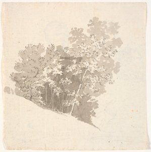木材组 作者 加州洛伦岑