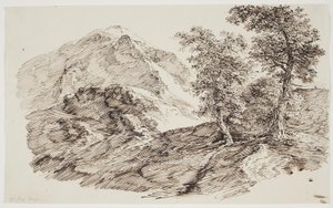 有树木的山景 作者 CF by Rumohr
