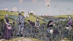 我们的葡萄种植者在炮火中收获，1914年香槟地区的收获，第一次世界大战，法国，20世纪 作者 JB 和 Brown J. 和 Rowbotham
