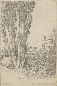 汉瑙的杨树和野生植物 作者 克里斯托弗·威廉·埃克斯伯格