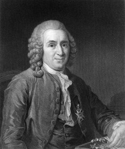 Carolus Linnaeus，18世纪瑞典博物学家，1836年。