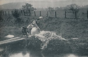 羊剪，1910年 作者 里德