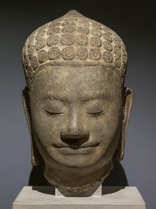 图片不明