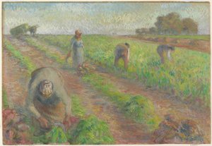甜菜收获，1881年（亚麻上的石墨水粉） 作者 卡米尔·雅各布·毕沙罗
