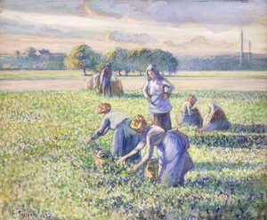 豌豆丰收，1887年 作者 卡米尔·雅各布·毕沙罗