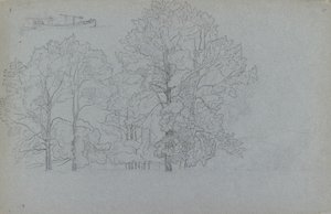 树木的研究，以及对一艘驳船的轻微研究，1859年 作者 卡米尔·毕沙罗