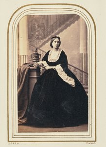 [威廉森夫人] 作者 卡米尔·西尔维（Camille Silvy）