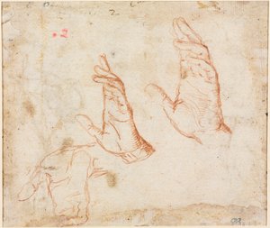 手的研究（背面） 作者 卡米洛·普罗卡西尼（Camillo Procaccini）