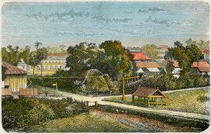 汤加，约1885年 作者 卡内迪·巴贝里斯