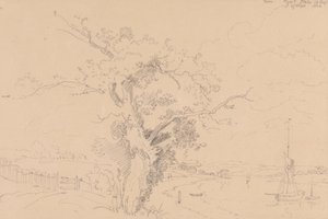 1826 年 8 月 12 日发自怀特岛赫斯特斯泰克