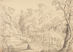 布拉德利谷，1833 年 5 月 作者 船长托马斯黑斯廷斯