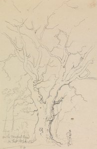 1826 年 2 月 12 日，纽波特路 作者 船长托马斯黑斯廷斯