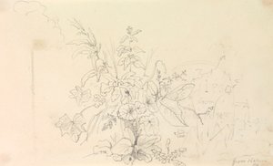植物素描和大自然的里程碑》，1826 年 6 月 3 日