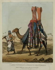 骆驼向她的丈夫传递新娘，由Denis Dighton（1792-1827）在“北非旅行的叙事”中的第16页刻，酒吧。 1821