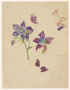 花卉研究 作者 Carel Adolph 狮子纪念章