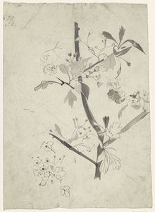 带花的树枝 作者 Carel Adolph 狮子纪念章