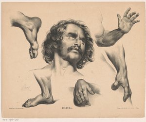 男人的头、脚、手和胳膊
Pictura（物品上的系列名称） 作者 范利尔兄弟