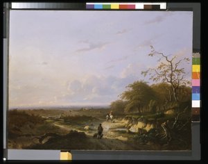 风景，约 1655 年（油画） 作者 卡雷尔·德·考维尔
