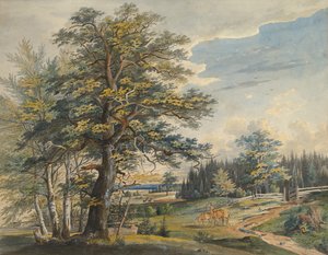 带雄鹿的森林景观，1800-1877年。