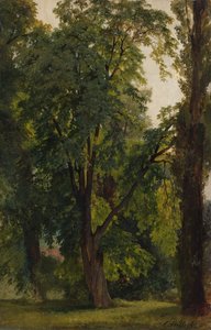 Konigswusterhausen的木材（纸板上的油画布）