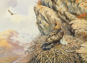 Eyrie的金鹰队 作者 卡尔·唐纳