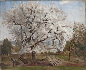 开花的苹果树，1877年