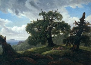 在波罗的海的一个树木繁茂的岛屿的记忆海边的橡树，1835年