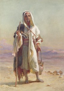 来自西奈半岛的一位年轻的Bedawee，1873年